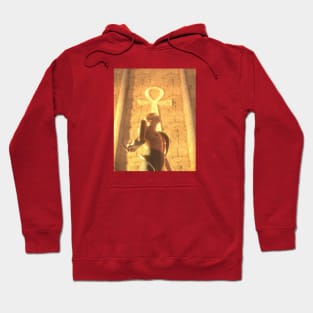 Egyptian god Hoodie